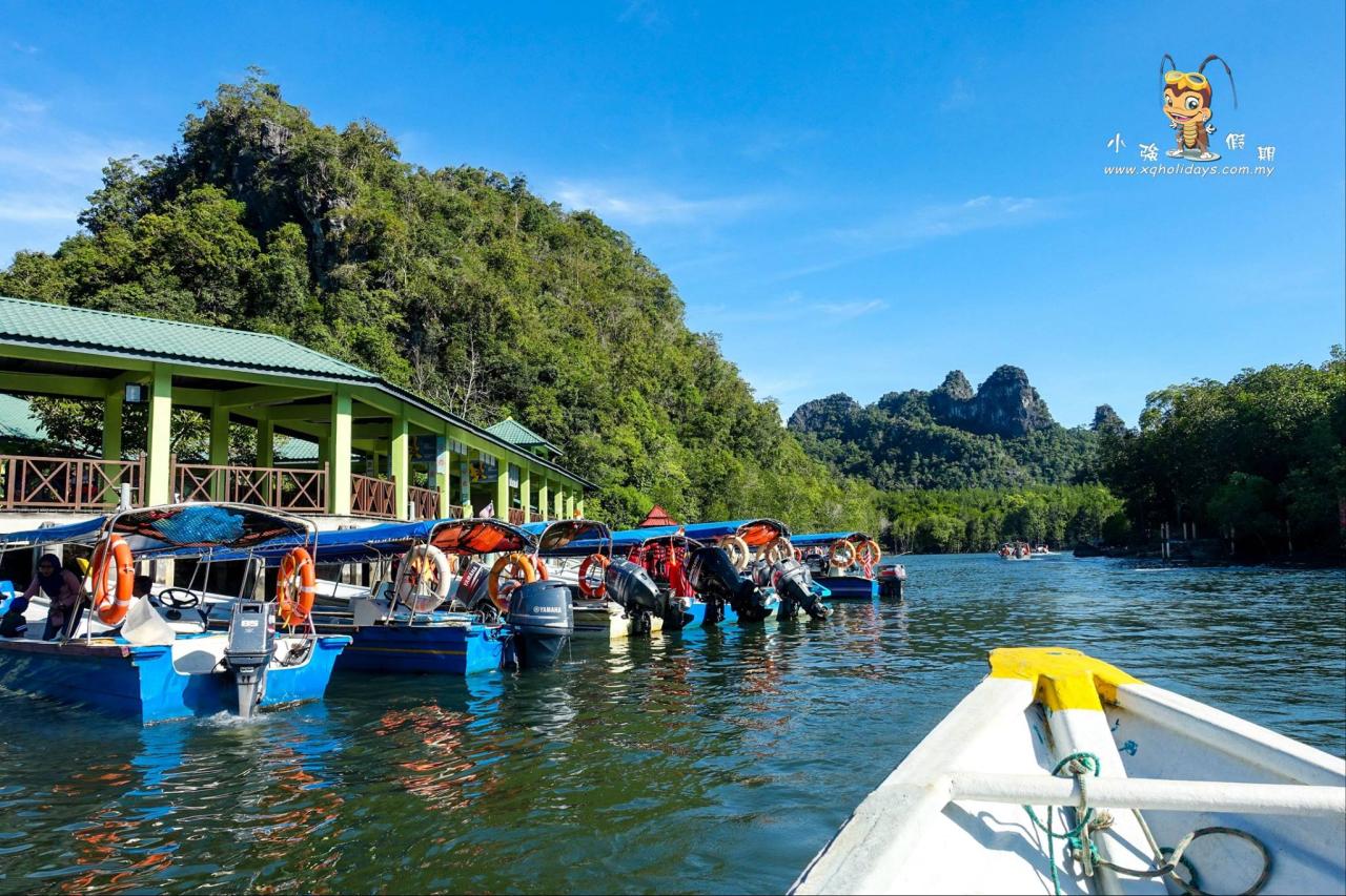 Jelajahi Hutan Mangrove Langkawi: Tur Alam yang Menakjubkan